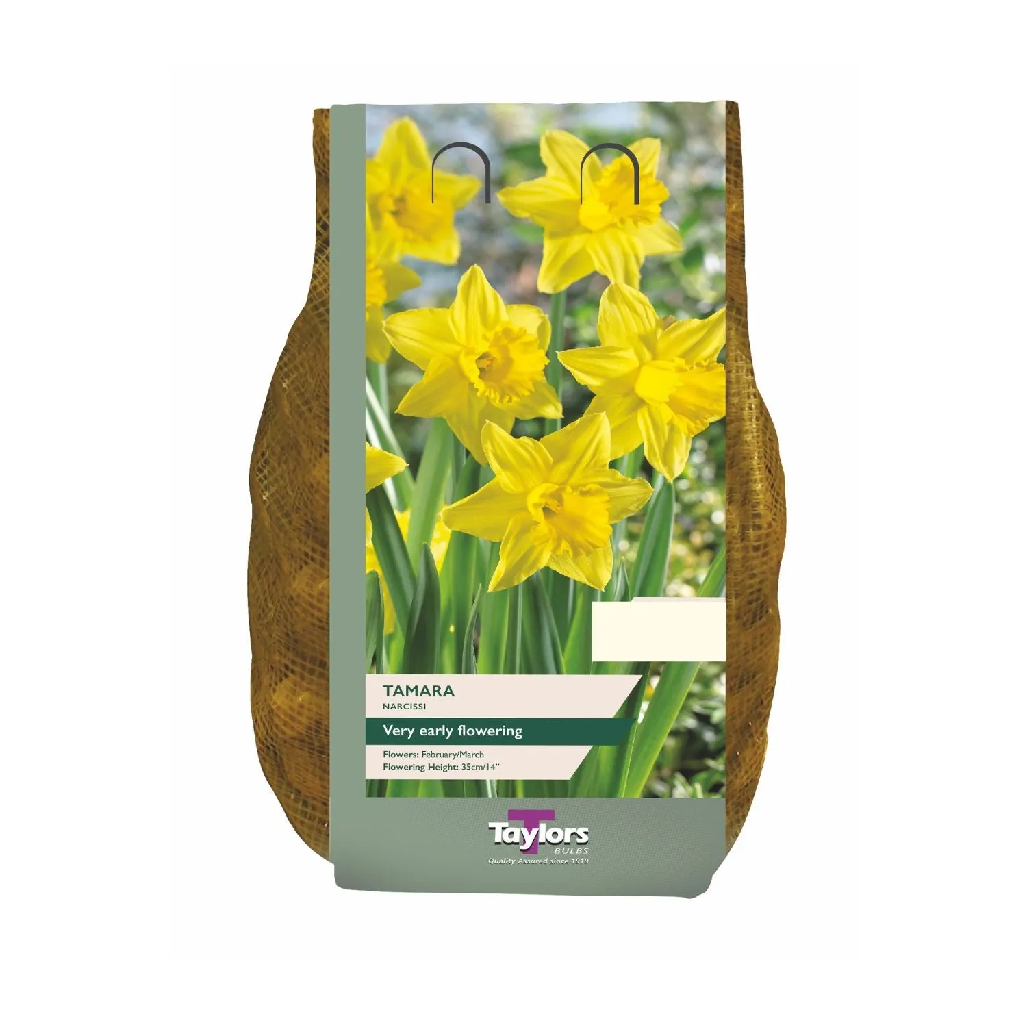 Taylors 1.5kg Tamara Narcissi Daffodil Carri-Pack